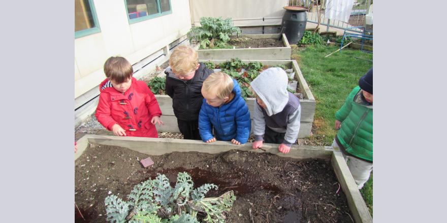 Kids planting plants at preschool